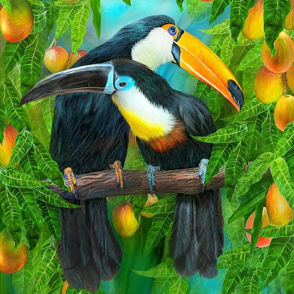 Рисунок тропические птицы
